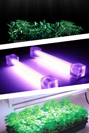 Люминесцентные лампы для растений