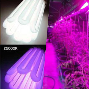 Применение люминесцентной лампы для растений